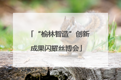 “榆林智造”创新成果闪耀丝博会