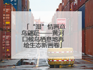 “湿”情画意鸟翩跹——黄河口候鸟栖息地再绘生态新画卷