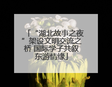 “湖北故事之夜”架设文明交流之桥 国际学子共叙东游情缘