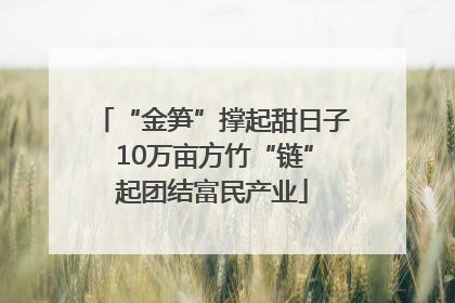 “金笋”撑起甜日子 10万亩方竹“链”起团结富民产业