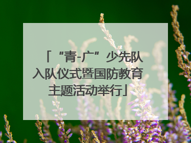 “青-广”少先队入队仪式暨国防教育主题活动举行