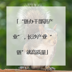 “链办干部讲产业”，长沙产业“链”就高质量