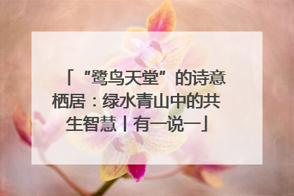 “鹭鸟天堂”的诗意栖居：绿水青山中的共生智慧丨有一说一