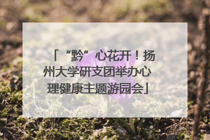 “黔”心花开！扬州大学研支团举办心理健康主题游园会