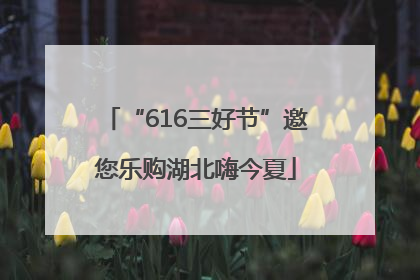 “616三好节”邀您乐购湖北嗨今夏