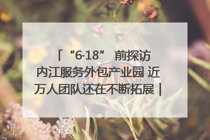“6·18” 前探访内江服务外包产业园 近万人团队还在不断拓展｜内江东兴“红”在哪⑤