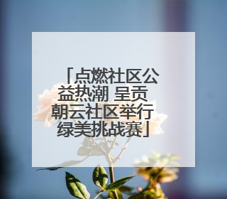 点燃社区公益热潮 呈贡朝云社区举行绿美挑战赛