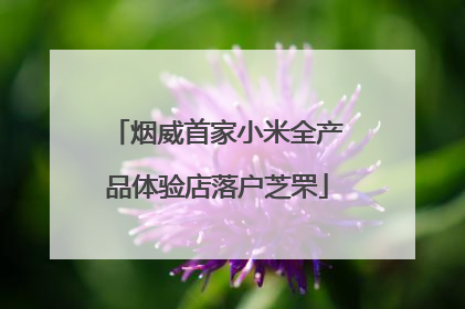 烟威首家小米全产品体验店落户芝罘