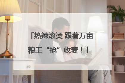 热辣滚烫 跟着万亩粮王“抢”收麦！