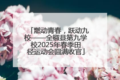 燃动青春，跃动九校——全椒县第九学校2025年春季田径运动会圆满收官
