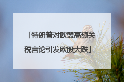 特朗普对欧盟高额关税言论引发欧股大跌
