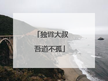独臂大叔 吾道不孤