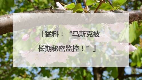 猛料：“马斯克被长期秘密监控！”