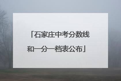 石家庄中考分数线和一分一档表公布