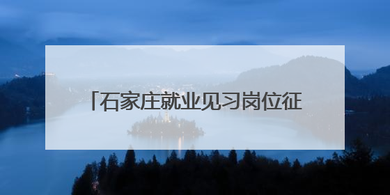 石家庄就业见习岗位征集正式启动 符合条件用人单位请尽快报名