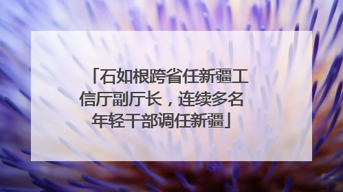 石如根跨省任新疆工信厅副厅长，连续多名年轻干部调任新疆