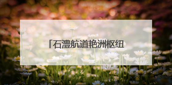 石澧航道艳洲枢纽船闸工程迎新进展