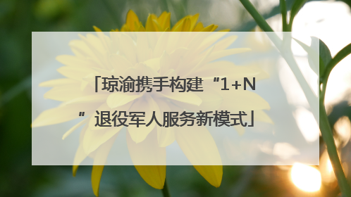 琼渝携手构建“1+N”退役军人服务新模式