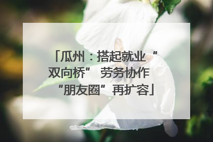 瓜州：搭起就业“双向桥” 劳务协作“朋友圈”再扩容