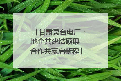 甘肃灵台电厂：地企共建结硕果 合作共赢启新程