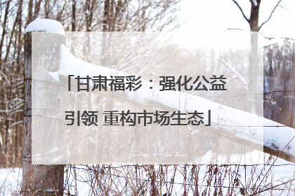 甘肃福彩：强化公益引领 重构市场生态