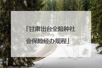 甘肃出台全险种社会保险经办规程