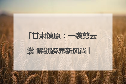 甘肃镇原：一袭剪云裳 解锁跨界新风尚