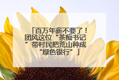 百万年薪不要了！团风这位“茶痴书记”带村民把荒山种成“绿色银行”
