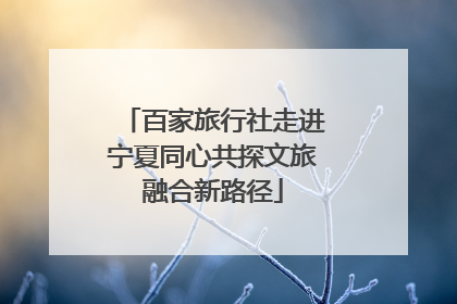 百家旅行社走进宁夏同心共探文旅融合新路径