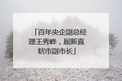 百年央企副总经理王秀峰，履新直辖市副市长