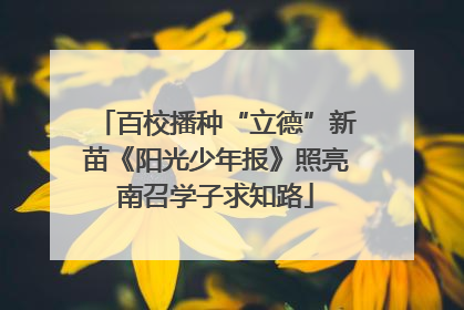 百校播种“立德”新苗《阳光少年报》照亮南召学子求知路