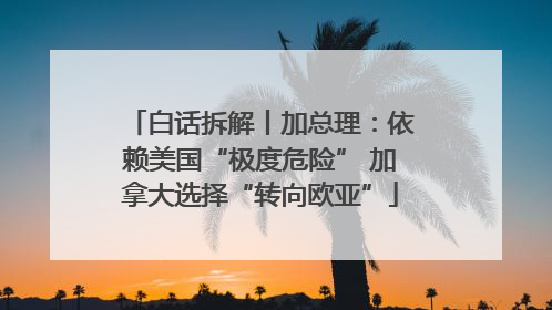 白话拆解丨加总理：依赖美国“极度危险” 加拿大选择“转向欧亚”