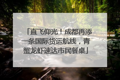 直飞仰光！成都再添一条国际货运航线，青蟹龙虾速达市民餐桌