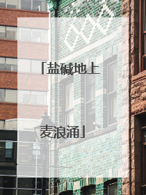 盐碱地上麦浪涌
