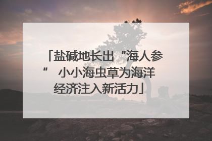 盐碱地长出“海人参” 小小海虫草为海洋经济注入新活力