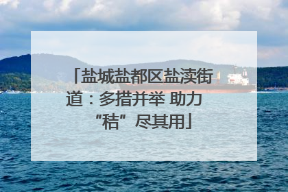 盐城盐都区盐渎街道：多措并举 助力“秸”尽其用