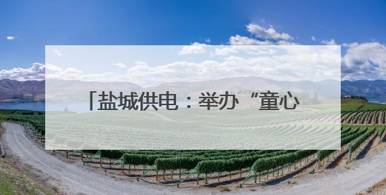 盐城供电：举办“童心筑安全 亲情伴成长”六一儿童节亲子活动