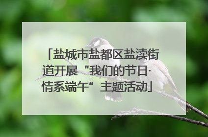 盐城市盐都区盐渎街道开展“我们的节日·情系端午”主题活动
