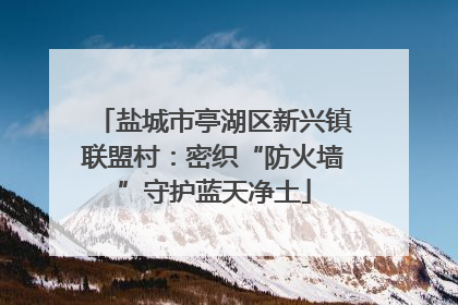 盐城市亭湖区新兴镇联盟村：密织“防火墙”守护蓝天净土