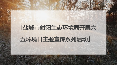盐城市射阳生态环境局开展六五环境日主题宣传系列活动