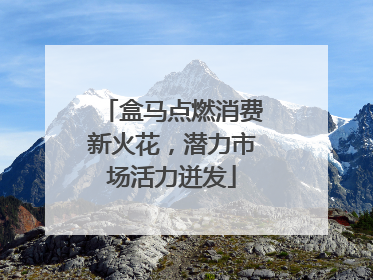 盒马点燃消费新火花，潜力市场活力迸发