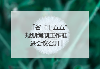 省“十五五”规划编制工作推进会议召开