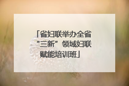 省妇联举办全省“三新”领域妇联赋能培训班
