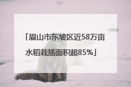 眉山市东坡区近58万亩水稻栽插面积超85%