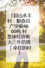 眉山永丰村：粮食总产突破4600吨 村集体经济收入三年倍增｜牵挂的村