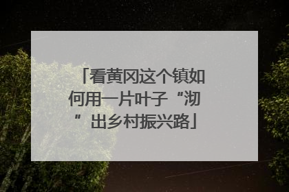 看黄冈这个镇如何用一片叶子“沏”出乡村振兴路