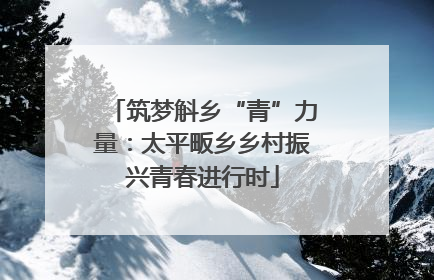筑梦斛乡“青”力量：太平畈乡乡村振兴青春进行时
