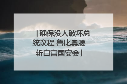 确保没人破坏总统议程 鲁比奥腰斩白宫国安会