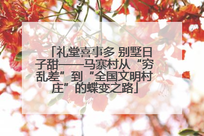 礼堂喜事多 别墅日子甜——马寨村从“穷乱差”到“全国文明村庄”的蝶变之路