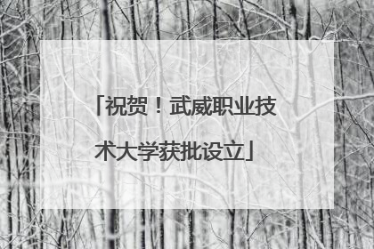 祝贺！武威职业技术大学获批设立